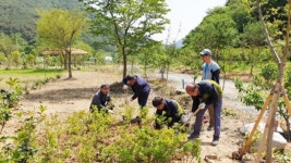 담양군산림조합, 산림단체와 함께하는 산촌생태마을 가꾸기
