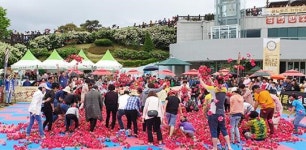 곡성세계장미축제장에서   순금 1돈 을 찾아라 