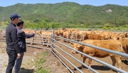 강진군, 동물복지형 운동장(울타리,CCTV) 설치사업 확대