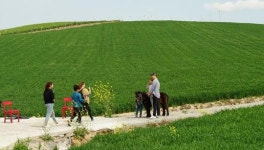 해남군, 4개소 예비사회적기업·예비마을기업 지정