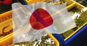 “매우 이례적인 일” 한국산 수산물 검사 강화하겠다고 밝힌 일본 정부