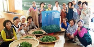 담양군, 고품질 담양 죽로차로 소비자 입맛 사로잡는다 