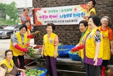 광주시 광산구 송정2동 적십자봉사회, 사랑의 열무김치 나눔 행사
