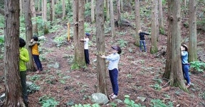 광양시, 천년 숲에서 치유와 힐링… 백운산 치유의 숲 개장