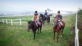 “이럇! 말(馬)과 함께 춤을”…장수승마장 승마교육 뜀박질