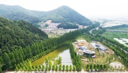 담양군 메타세쿼이아랜드 입장료 반환 청구소송 승소