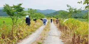 장흥군 장평면, 명품 숲길 만들기 ‘구슬땀’