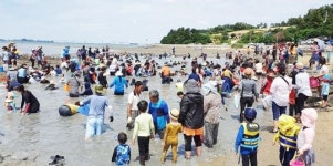  전남 함평군 만우회, ‘안악해변 장어잡기 체험행사’에 뱀장어 70kg 쾌척