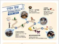 충주시, 세계무술축제 및 세계무예마스터십 연계 감성버스투어 운영