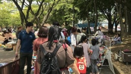 여수시 벼룩시장, 9월 7일 거북선 공원서 개장