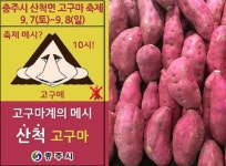 충주 천등산 고구마 축제 7일 개막