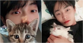 무려 1년 만에 반려묘 유기+여혐 논란 해명한 아이돌