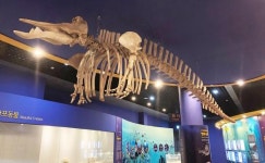 추석 연휴, 전남도해양수산과학원에서 남도 강· 바다 생물 보며 재충전을 ~