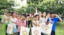 ‘나주로 배 따러 가자’… 나주배박물관 배 수확체험