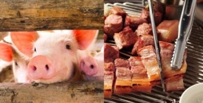 “삼겹살 먹어도 되나요?” 치사율 100% 아프리카돼지열병