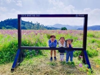 [포토뉴스] 가을 찾아온 괴산 코스모스동산