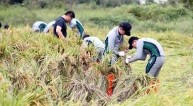[포토]광주시 북구, 태풍피해 농가 대민지원