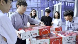 전북도, 사과 가격 폭락 속 종합대책 추진…판로확대 등 마련