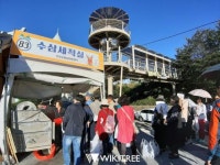 2019 진안홍삼축제, 수삼을 세척해 드립니다