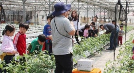 전남농기원, 농촌교육농장 17개소 품질인증 획득