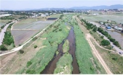 청주 내수읍 석화천 7.7km 구간 생태하천 복원된다
