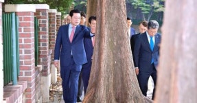 이용섭 광주시장, 금호동 도시공사 1단지 주변 보행로 개선하겠다