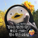 “펭수는 펭귄이 맞나요?” 펭수 펭귄 오피셜(feat.펭귄 박사님)