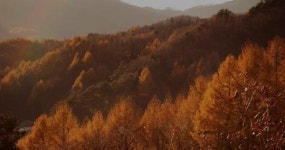 휘닉스 평창, 가볍게 떠나는 올 인클루시브 라이트 패키지 상품 선보여