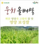 보성웅치올벼쌀향토산업사업단, 보성 올벼쌀 쌀 선진지 견학 및 워크숍 실시
