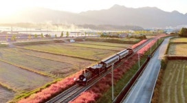 곡성섬진강기차마을, 15년 전에는 상상하지 못했던 신의 한 수