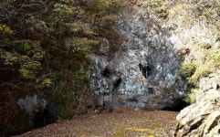 제천시, 선사시대 점말동굴 일반인에게 공개