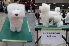 “멈멈!” 네모네모 멈뭄미의 충격적인 진실