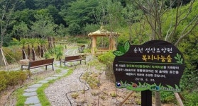 순천시, 복지시설 성산요양원에 녹색숲 선물’