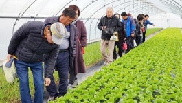 강진군, 로컬푸드 동계작물 재배 선진현장 견학, 배움 열기‘활활’