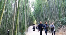 [포토]포근한 성탄절 담양 죽녹원 관광객 북적