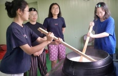 강진군 농촌체험휴양마을 활성화로 지역경제 활성화 도모