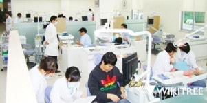 전남대 치의학전문대학원,치과의사시험 2년 연속 100% 합격