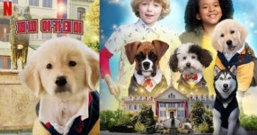 “댕댕이들도 학교 다닌다?” 귀여움으로 무장한 넷플릭스 신작 퍼피아카데미