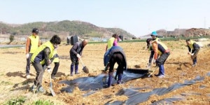 여수시 주삼동 지역사회보장협의체, “사랑의 농장 일궈요”