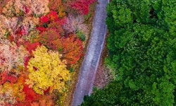 여수시, 미평 산림욕장 ‘무장애 나눔길 조성’ 우수상