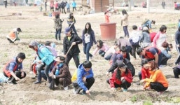 광주시 남구, ‘덕남 텃밭’‧‘상자텃밭’ 운영자 동시 모집