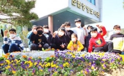 고흥군, 청소년문화의집 및 군립중앙도서관 봄맞이 꽃밭 조성