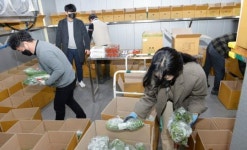 광주시 남구, 친환경 농산물 생산농가 “행복꾸러미, 큰 보탬됐다”
