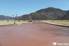 가평군, 자라섬 무장애 관광환경 조성사업 추진