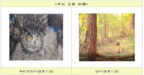 전북환경청,“제2차 정읍 월영습지 보전계획”수립 추진!