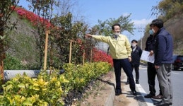 광주시 동구, 남문로에 새로운 녹색 볼거리 탄생