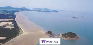 신안군, 국민관광지 임자대광해수욕장 새롭게 단장