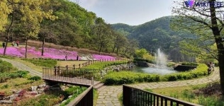 파주시, 율곡수목원 산림치유프로그램 운영 재개