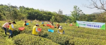 보성군 자원봉사단체 농촌일손돕기 구슬땀