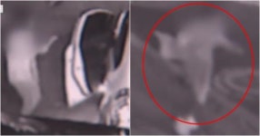 “내 차가 왜 저기 있지?” 서울 방배동서 일어난 미스터리한 뺑소니 사건